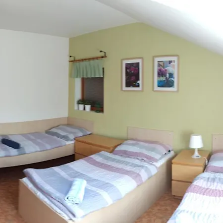 Salas Mlyn 3* Velehrad
